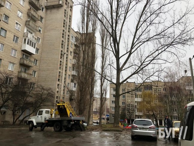 На Волині вітер повалив дерево, що пошкодило автівку. ФОТО