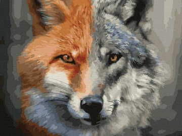 З початком Великої війни у лісах Волині побільшало хижаків