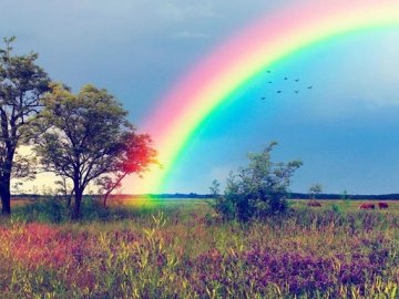 16 травня – яке сьогодні свято і чого категорично не можна робити у цей день