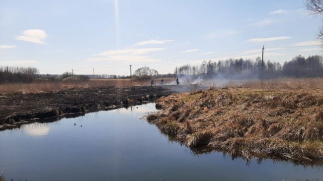 У Луцьку на Львівській горіло 5 гектарів сухої трави
