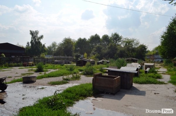 Місце для вигулу собак.