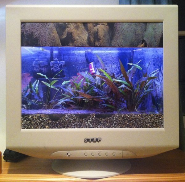 Також «реінкарнатори» можуть зроюити з монітора акваріум