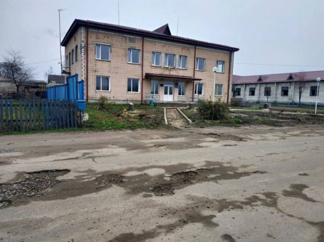 У Поворську перед адмінбудівлею зрізали 4 сріблясті ялини, які колись намагалися викупити у маєток столичного багатія