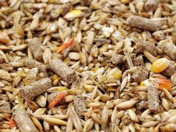 На Волині збудують комбікормовий завод