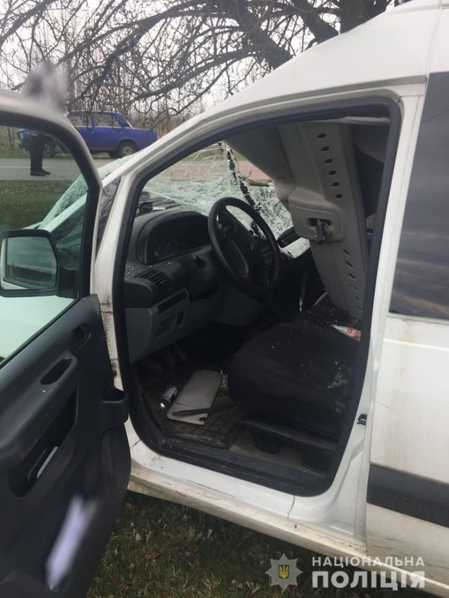 На Волині автівка влетіла в дерево: загинула пасажирка. ФОТО