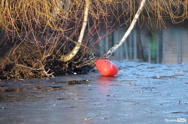 Кохання на вулицях Луцька. ФОТО