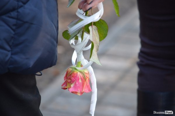 Кохання на вулицях Луцька. ФОТО