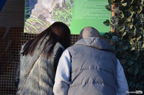 Кохання на вулицях Луцька. ФОТО
