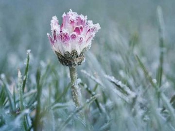 Синоптики сказали, коли чекати перших заморозків. ВІДЕО