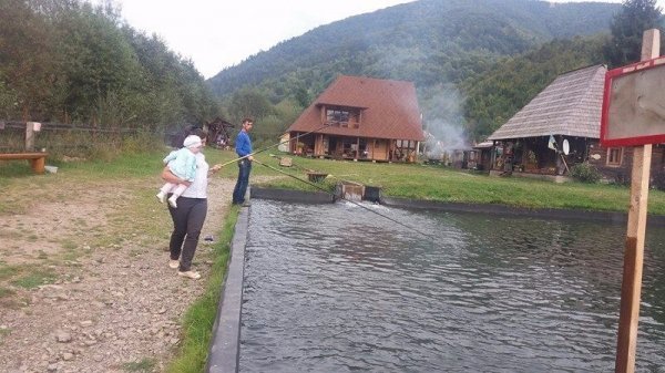 Туристи щодня виловлюють 40 кілограмів форелі. ФОТО. ВІДЕО