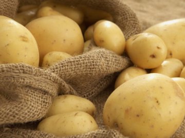 В Україні прогнозують дефіцит картоплі: яка причина