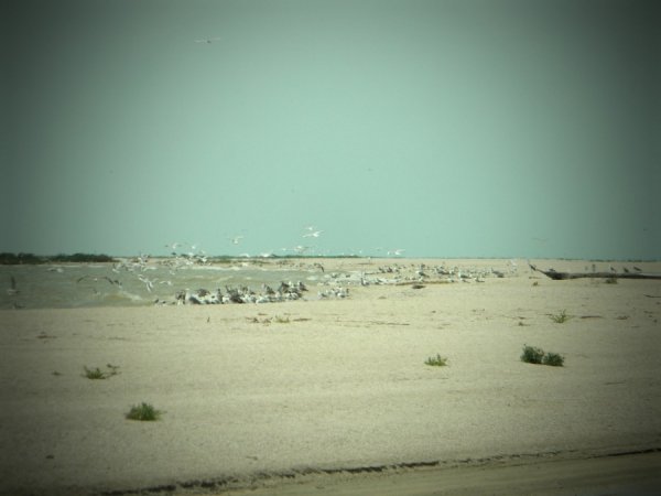 Волинські «правосеки» на Сході. ФОТО