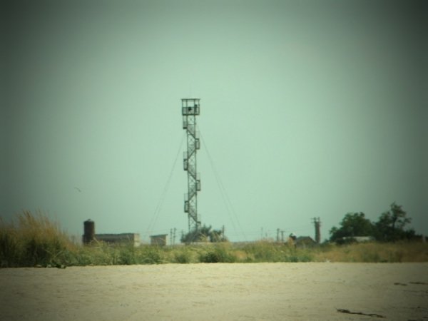 Волинські «правосеки» на Сході. ФОТО