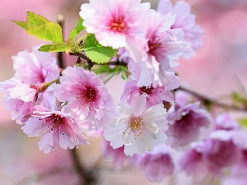 Погода у Луцьку на завтра, 1 травня