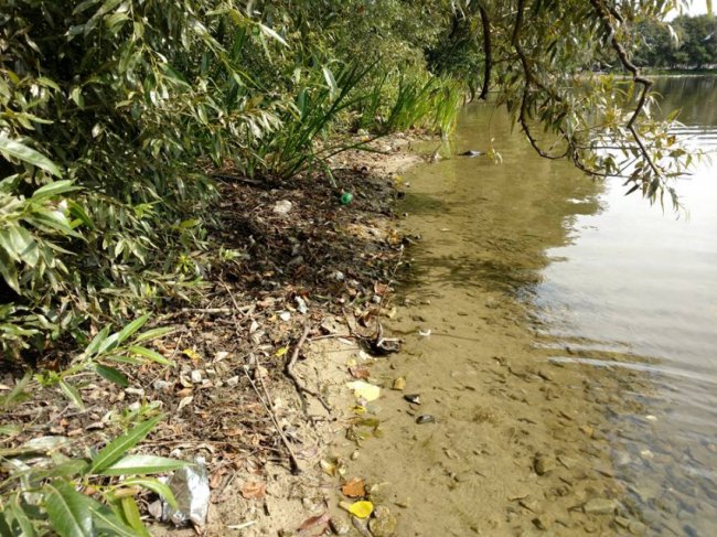 Мертві коти та купи порожніх пляшок: волинянина вразила «чистота» на озері Лука. ФОТО