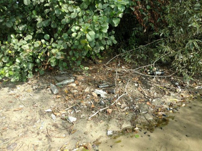 Мертві коти та купи порожніх пляшок: волинянина вразила «чистота» на озері Лука. ФОТО