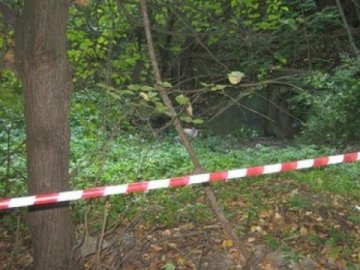 У лісосмузі поблизу Гаразджі побили та пограбували чоловіка