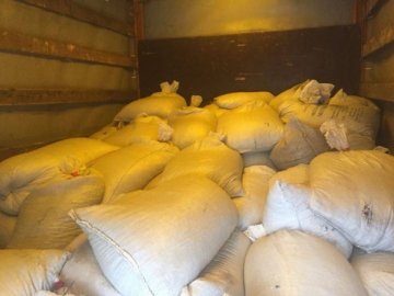 На Житомирщині  затримали вантажівку, «нафаршировану» мішками з бурштином