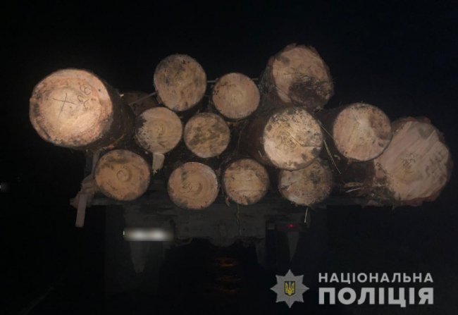 Один крав сосни, а інший – дуби: на Волині спіймали двох злодіїв