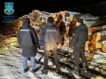 На Волині викрили масштабну схему розкрадання деревини з державних лісгоспів. ФОТО