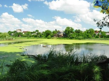 На ставках у Луцьку хочуть облаштувати відпочинкову зону