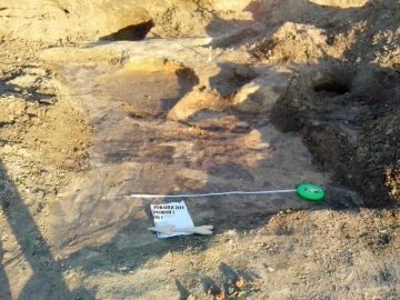 Під Луцьком розкопали могильник, якому тисяча років. ФОТО