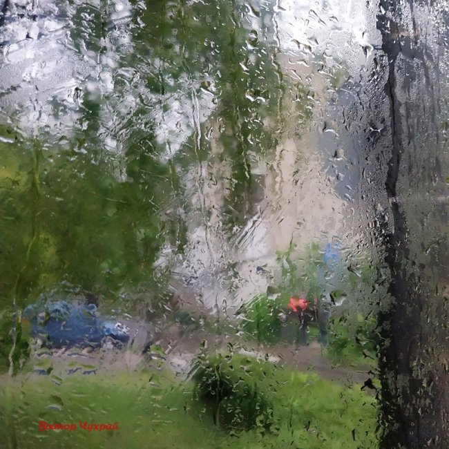 Луцький фотограф поділився «дощовими» світлинами
