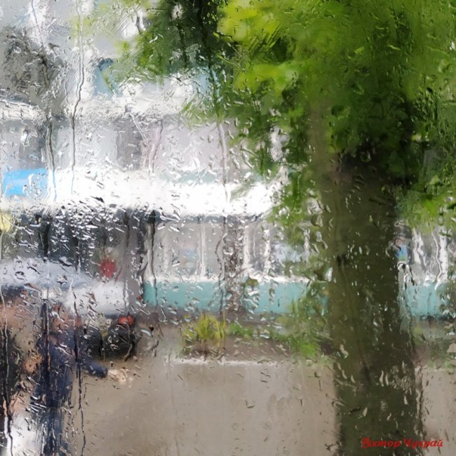 Луцький фотограф поділився «дощовими» світлинами