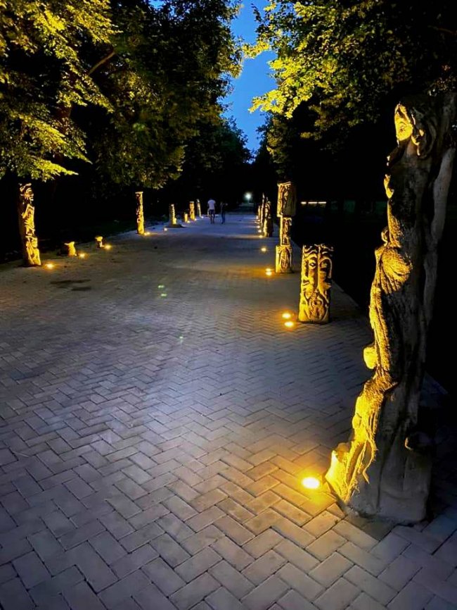 Загадково і містично: у центральному парку Луцька підсвітили алею Голованя. ФОТО