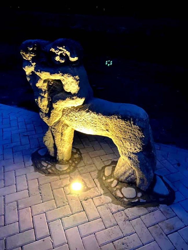 Загадково і містично: у центральному парку Луцька підсвітили алею Голованя. ФОТО