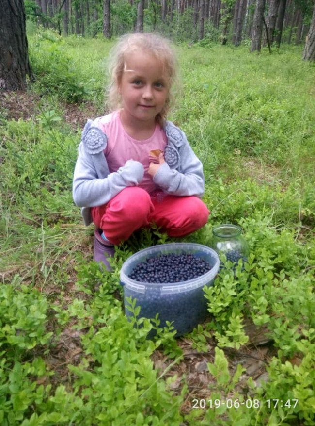 На Волині стартував сезон збору чорниці. ФОТО