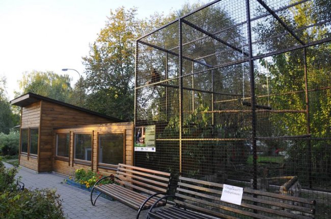 У Луцькому зоопарку – поповнення. ФОТО