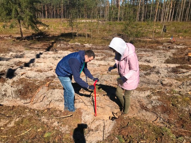 Користь для довкілля і «тімбілдингу»: фірма з Луцька у вихідний висадила гектар лісу. ФОТО