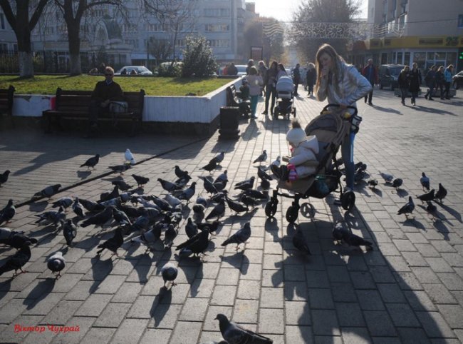 Листопад у Луцьку: соковиті фото