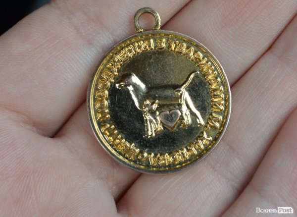 Як у Луцьку ловлять бродячих собак. ФОТО