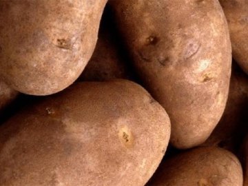 Лучанин на картоплі заробляє до тисячі доларів в тиждень
