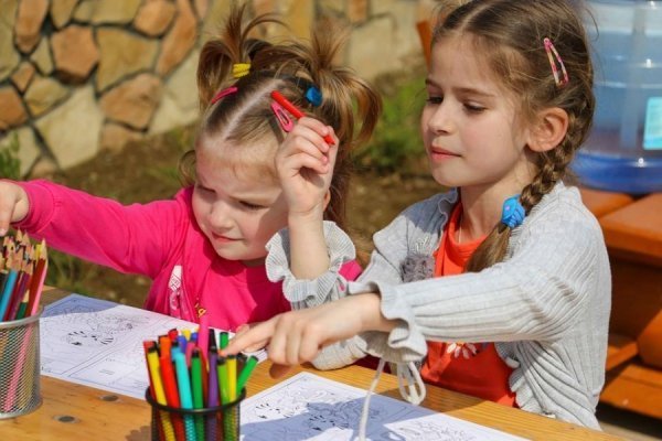 У Луцькому зоопарку святкували день народження тигренят. ФОТО