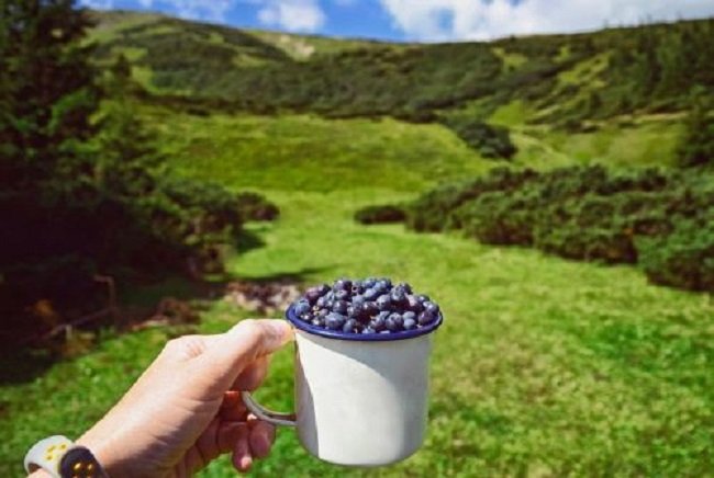 Як відпочинок в українських Карпатах здатний перезавантажити мозок та тіло*