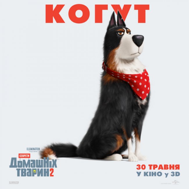 У «PremierCity» відбудеться допрем'єрний показ мультфільму «Секрети домашніх тварин 2»*
