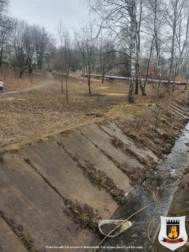 У Луцьку вандали понищили парк «Дубовий гай»: там встановлять відеонагляд