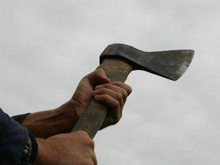 На Волині син сокирою вбив рідну матір, потім намагався покінчити з життям