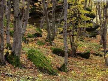На Волині  з квітня запровадять режим тиші 