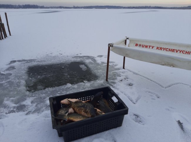 На Волині до водосховища вселили понад 2 тонни цінних видів риб. ФОТО