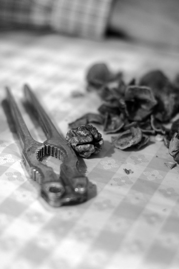 Фотовиставка Анни Лучії Лобос