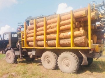 У селі на Волині на приватній пилорамі виявили незаконно зрізаний ліс