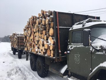 На Волині викрили злочинну групу, яка займалася незаконною порубкою лісу. ФОТО