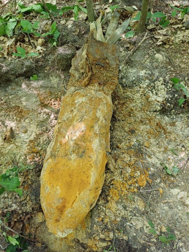 На Волині знешкодили 5 авіабомб та 4 артснаряди, які пролежали у землі близько 80 років