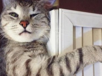 Чи готова Волинь до нового опалювального сезону