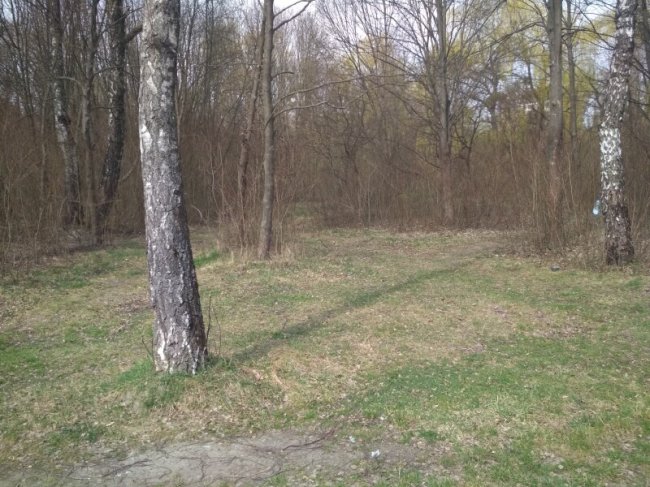 Півтисячі студентів та комунальників зібралися на передвеликодню толоку у Луцьку