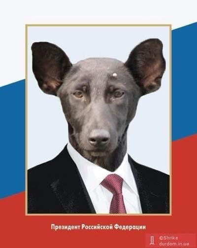 Фотожаби: революція у Києві